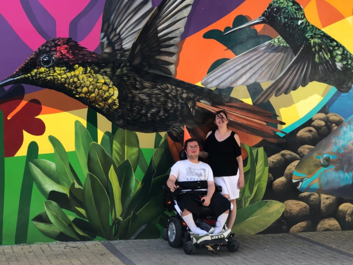 san-nicolas-humming-bird-art-wall